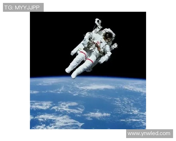 拉波尔特：探索科技与人文交汇的未来之路