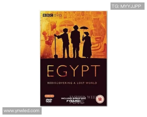 斯通斯的传奇旅程探索音乐与文化的交汇点