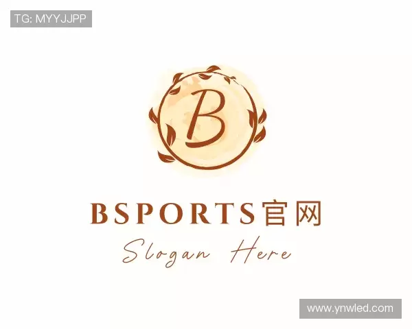 了解B体育官网
